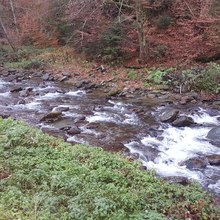 image31